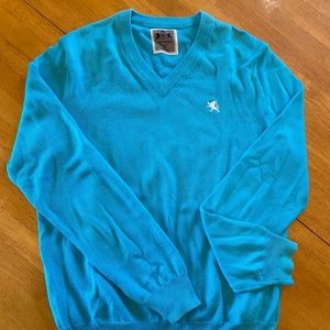 Express V-Neck Sweater